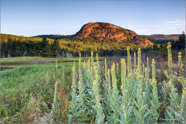 2x DSC_4090HDR1av3600