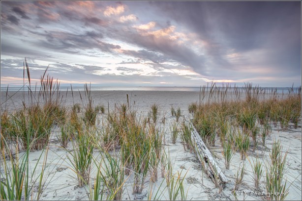 1x DSC_9909HDR1a7600