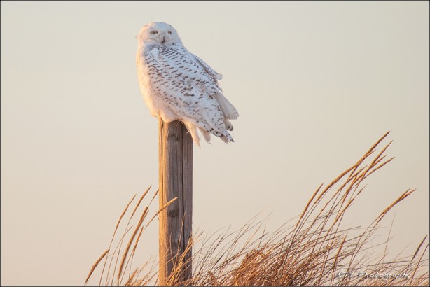 13x DSC_8043a3bestx600