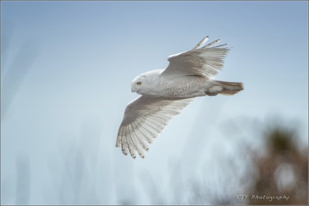 1z DSC_8435aVNDN3600