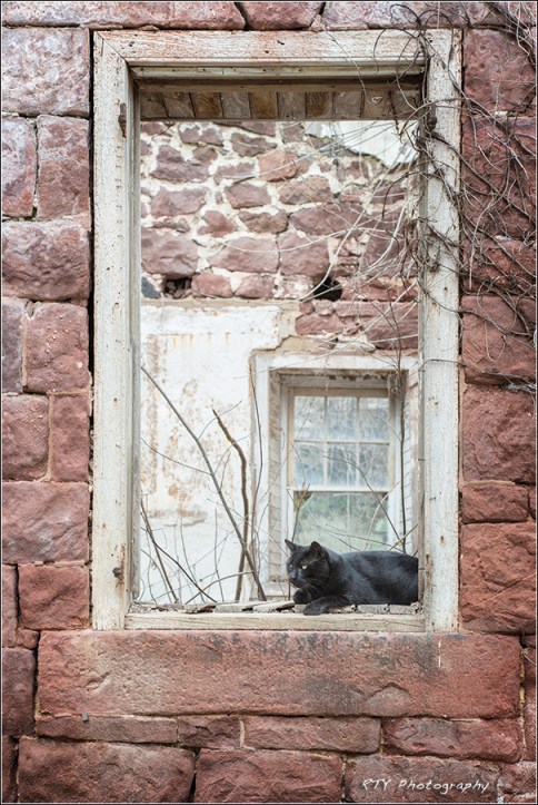 5x DSC_9638a3N3Vx900