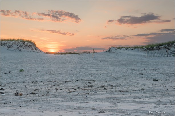 7 6 11 DSC_6733a3600