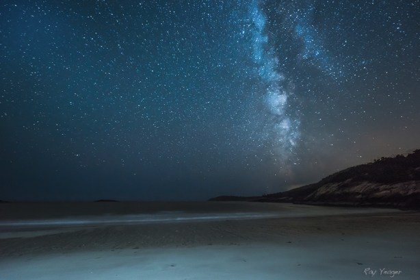 9z DSC_5696a9xZZ600x