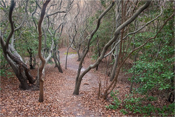 1 7z-DSC_2279a1N3600