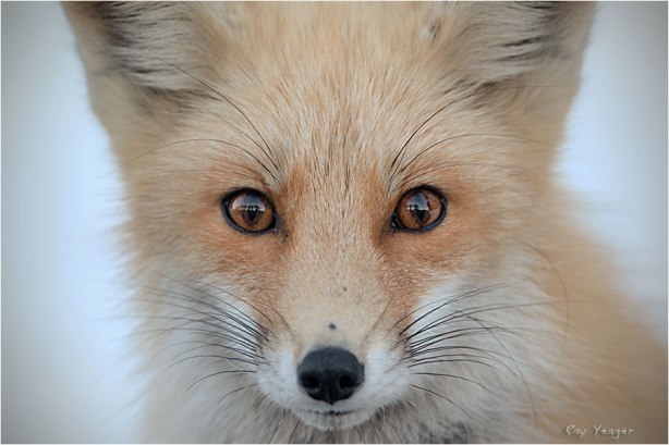 1 5z-DSC_7127a5600-copy