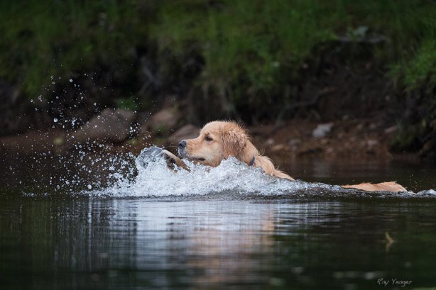 11 4 1x-DSC_5129a1c2x600