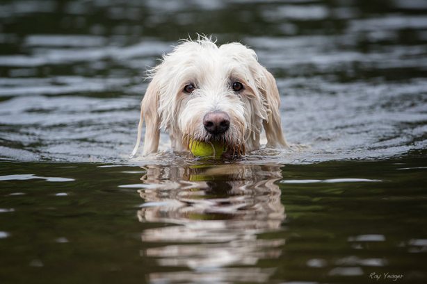 11a 5 3x-DSC_5225a1xc1N600