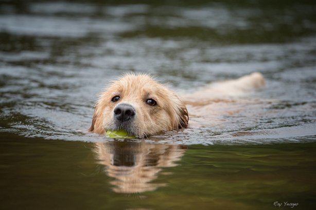 14 15-104-DSC_5200a1N600