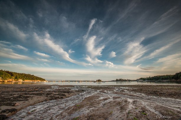 4 1z-DSC_6444a9xy600