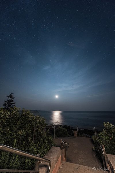 5 4 5z-DSC_5830a3700