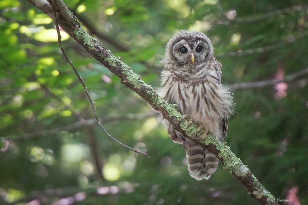 3 5n-DSC_7534a7xN600