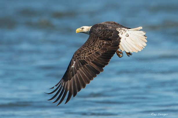 1 3 7x-DSC_6660a5600