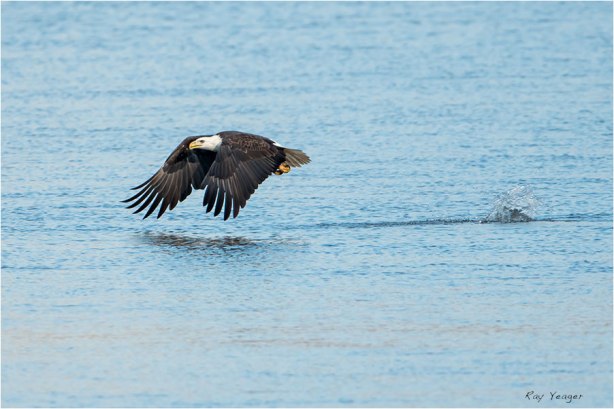 6 4 5z-DSC_6105a1c600