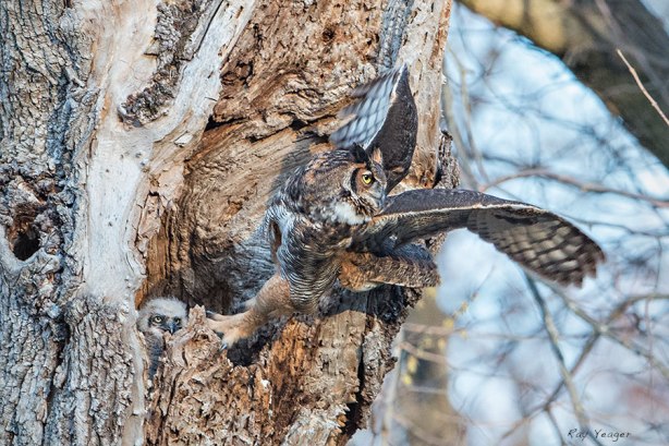 105 3z-DSC_5994a5600