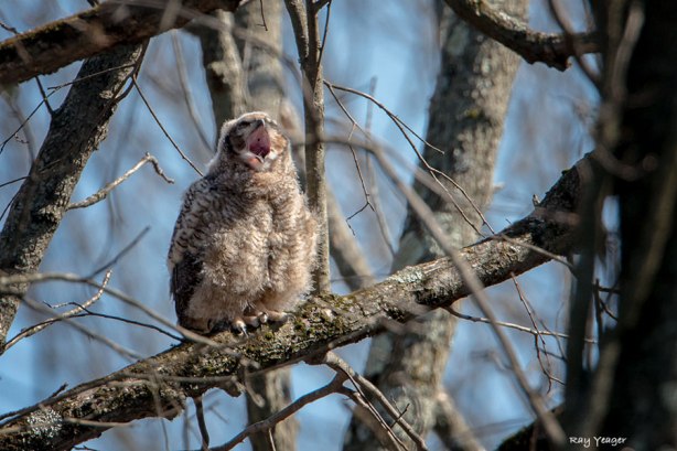 106 1-DSC_7198a1c600