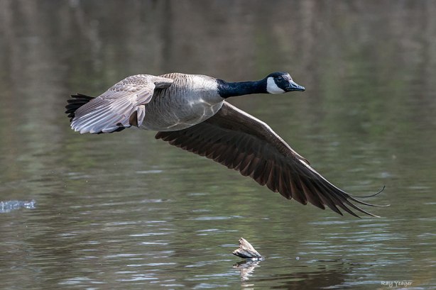 110 9-DSC_6317a1c600