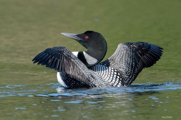 2-1z-dsc_6430a1c31050