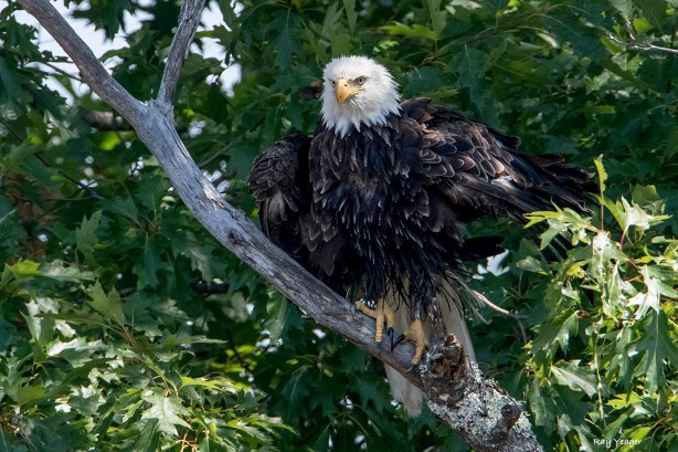 1z-1z-dsc_2164a1c9x1500