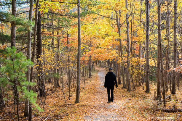 105 5-DSC_5426a1m31024