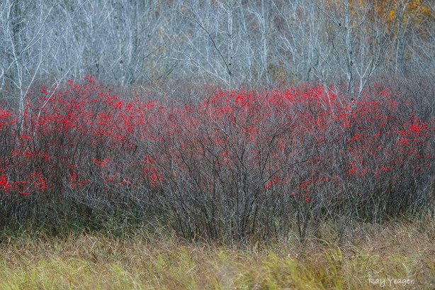 108-1z-DSC_7795a3m1024