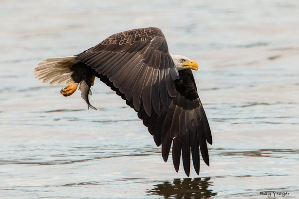 105 3z-DSC_8940a1cmA960