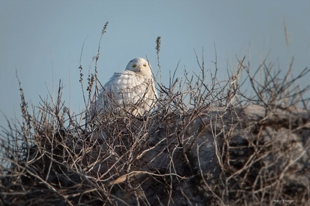 207 7z-DSC_7461a1M1500