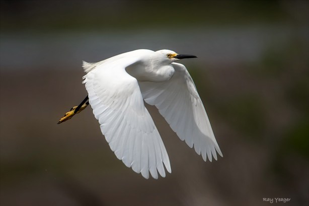 106 15-DSC_9724a1mADN960