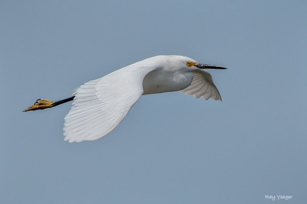 110 17-DSC_9498a1mA960