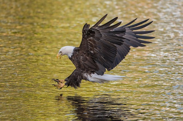 2 1-DSC_1724a1mD1500