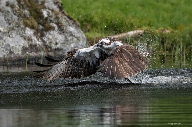 4 3-DSC_1474a1mADN1500