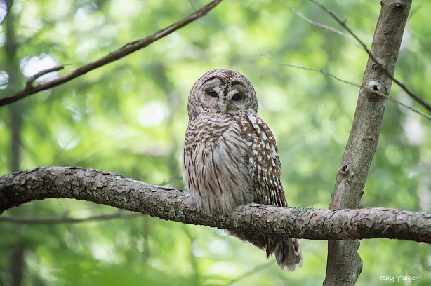 105 5-DSC_0701a1mLD31100