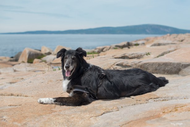 103z-DSC_4851a1cL1500