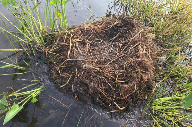 118 9-101-IMG_5694a1960