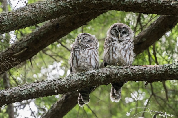 208 13-DSC_5585a1c1100