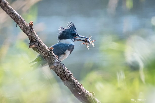 1001z-DSC_6979a1mL960