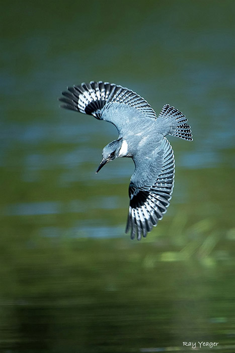 1003-1nz-DSC_7805a1c3mADN700