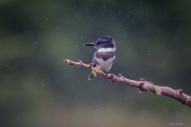 1008-DSC_0350a1cmLDN1500