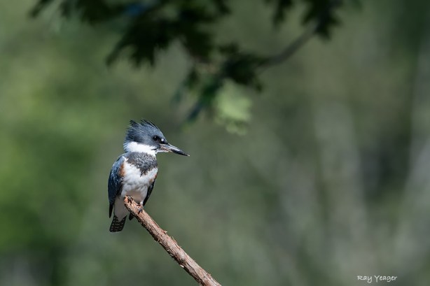 1012-DSC_7830a1mDx1100