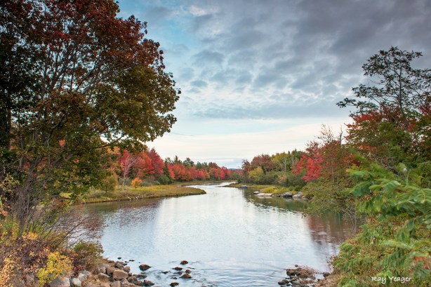 301z 3-DSC_8240a1L1100