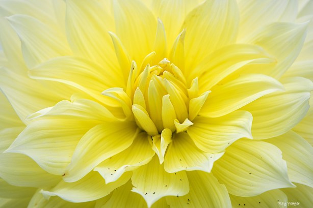 701z 1-DSC_2034a1m3A1500