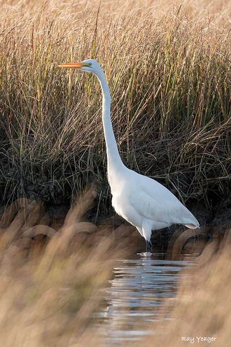 505-9-DSC_4065a1c3L700