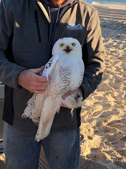 102-99-IMG_7180a1700