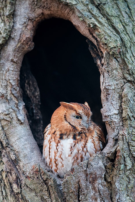 101 DSC_1890a1cmLD700