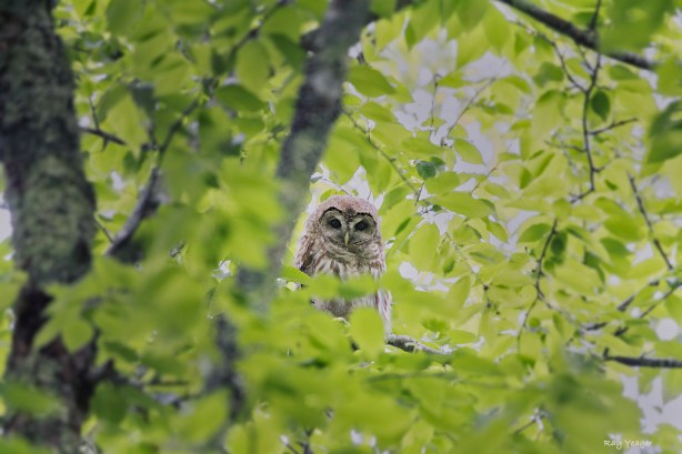 106 1zz-DSC_4414a1mL1500