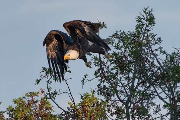 203 1-DSC_0217a1cmLD1500