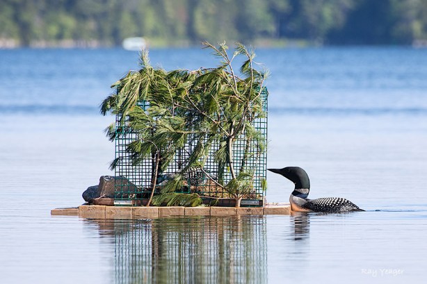 101 1-DSC_1174a1mL960