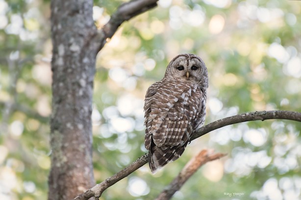 111 9-DSC_1298a1mL1500