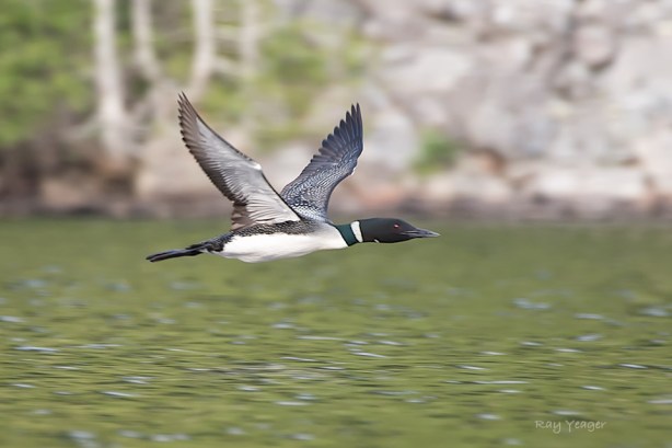 506 210 21-D4S_7747a1mLD960