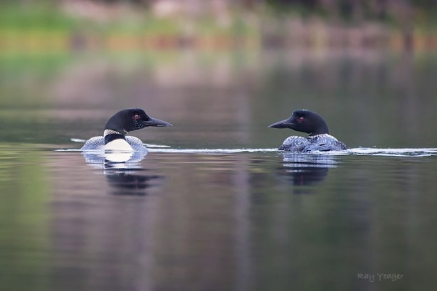 513 207 23z-D4S_7656a1mLD960