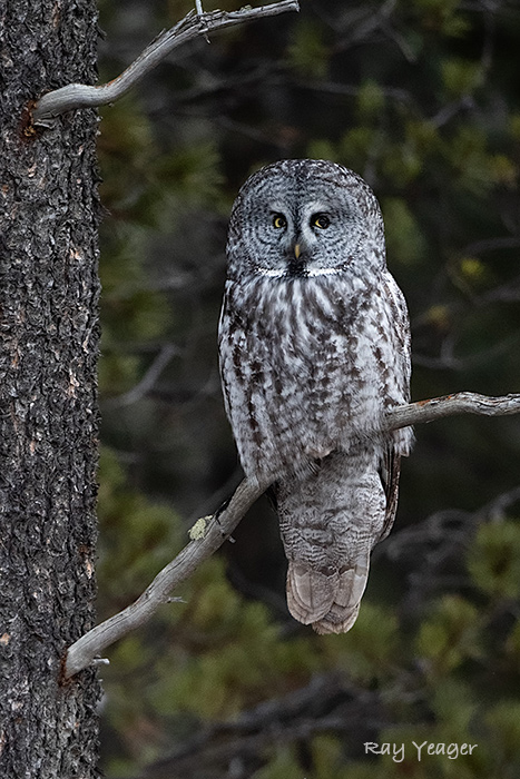 505-DSC_2134a1mLD700